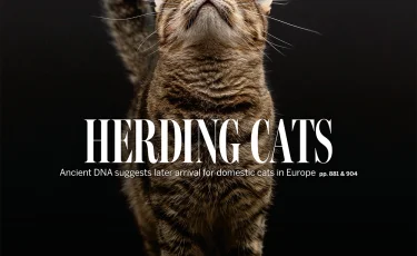 Обложка журнала Science