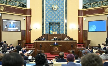 Острые дискуссии и критика: какие законы принял парламент Казахстана в 2025 году
