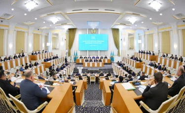 Проект Конституции не предлагает возвышать или принижать ту или иную ветвь власти - мажилисмен